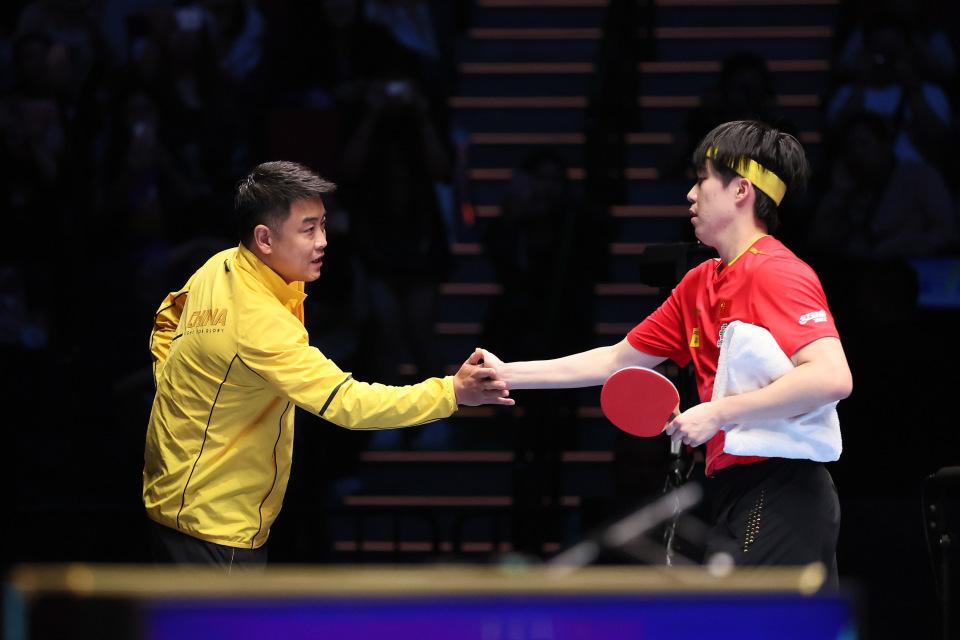 德国乒乓球队绝地反击比利时乒乓球队，王皓惊艳世界的简单介绍